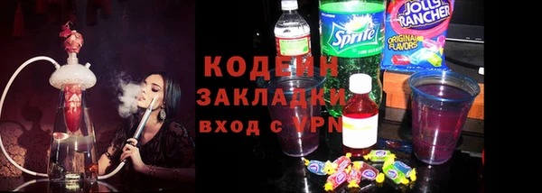 прущие грибы Аркадак