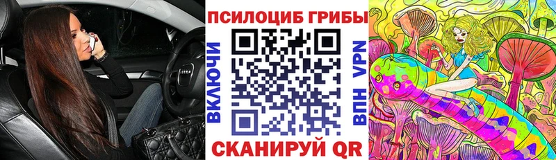 Псилоцибиновые грибы MAGIC MUSHROOMS  где купить наркотик  Устюжна 